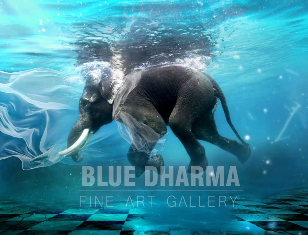 Ellie Painting, Elephant Underwater