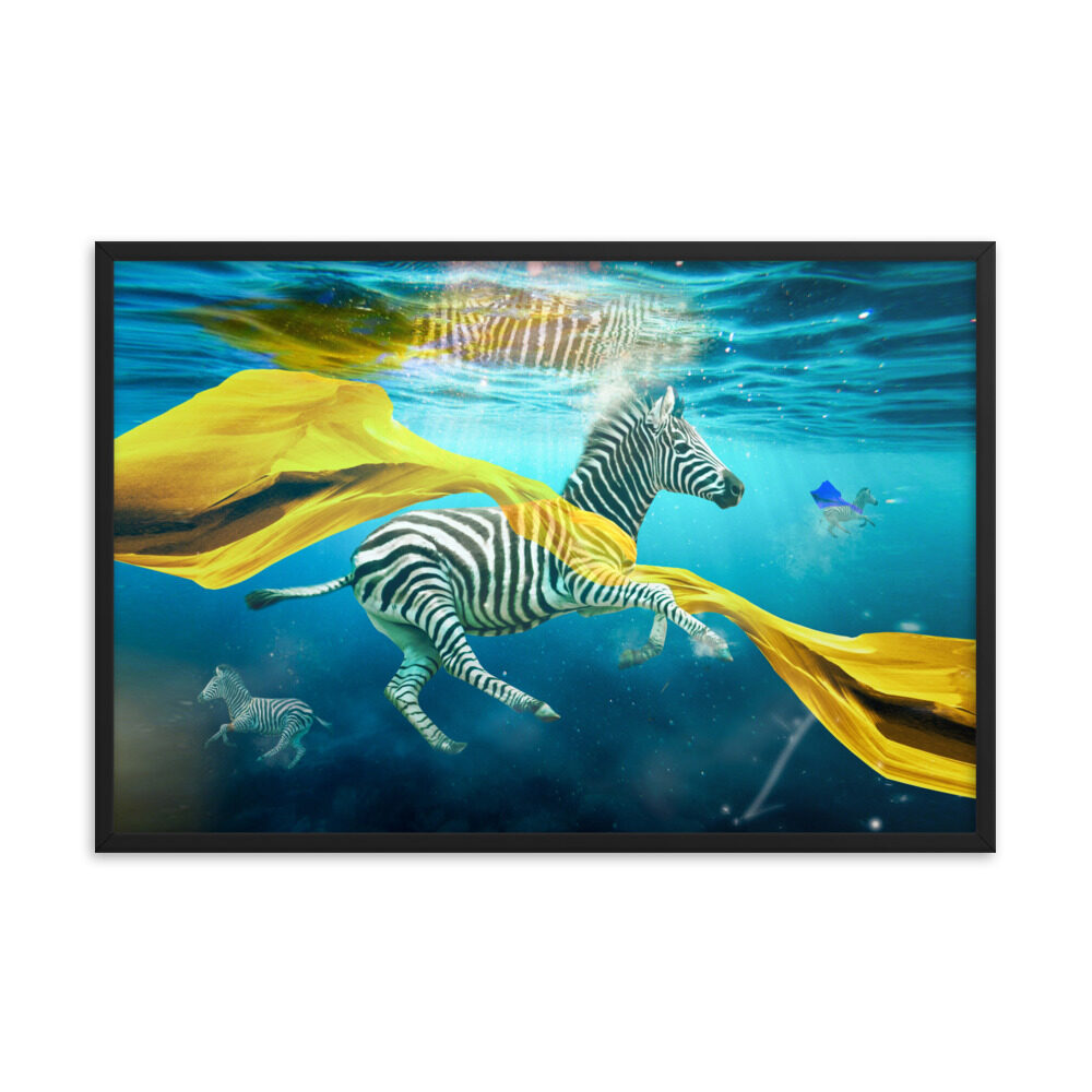 Homecoming Zebras Framed Print, Zebras Underwater