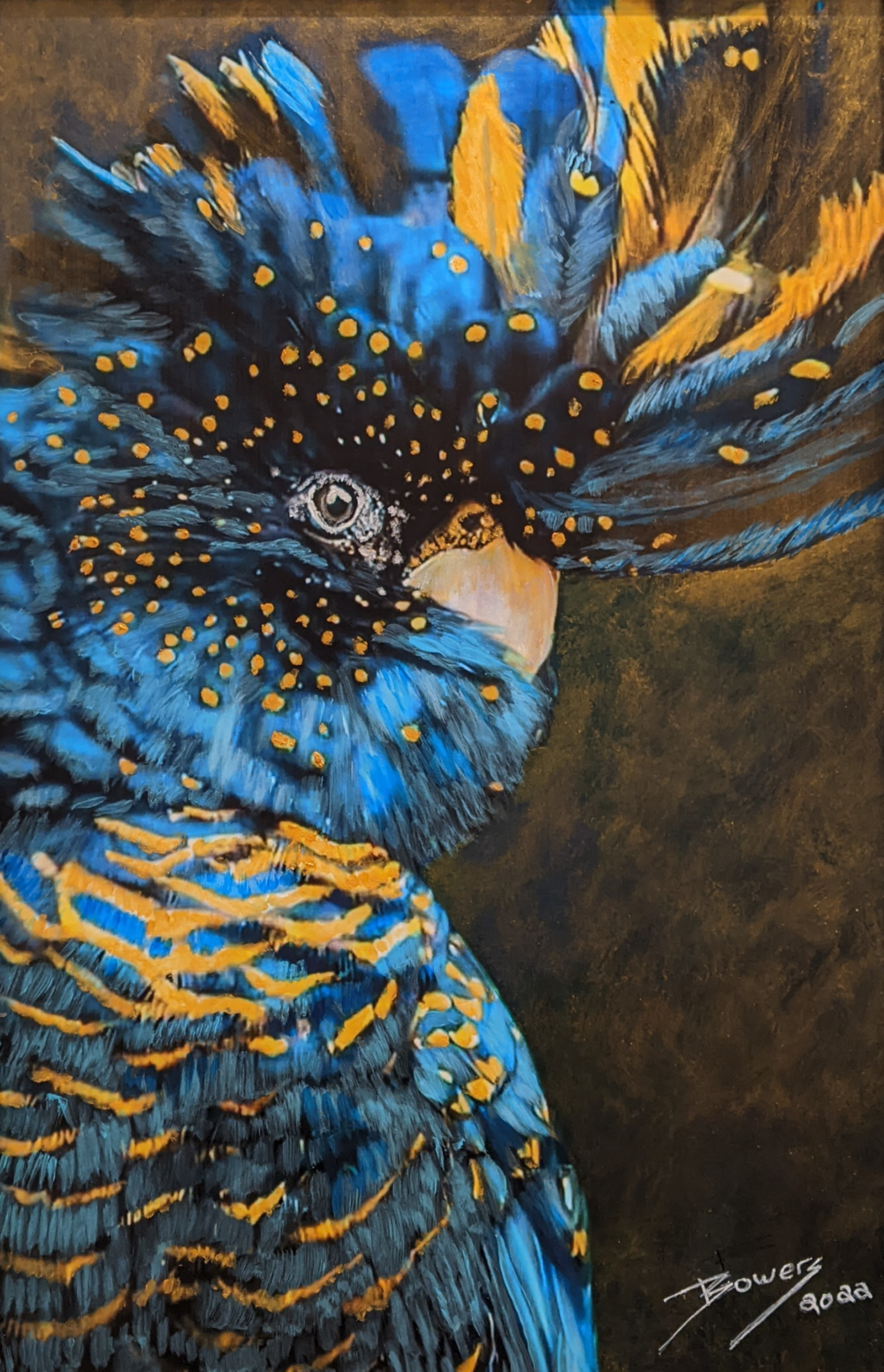 Blue Cockatiel Image