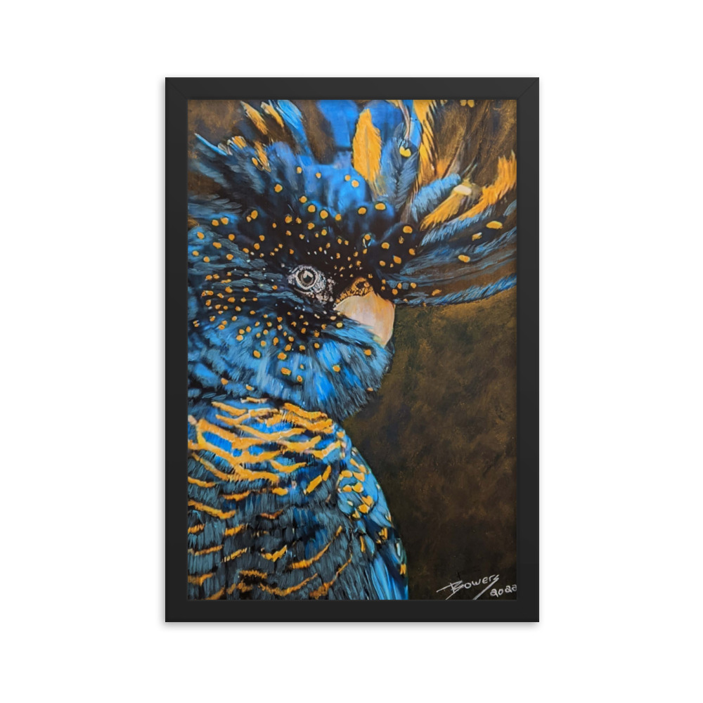 Blue Cockatiel
