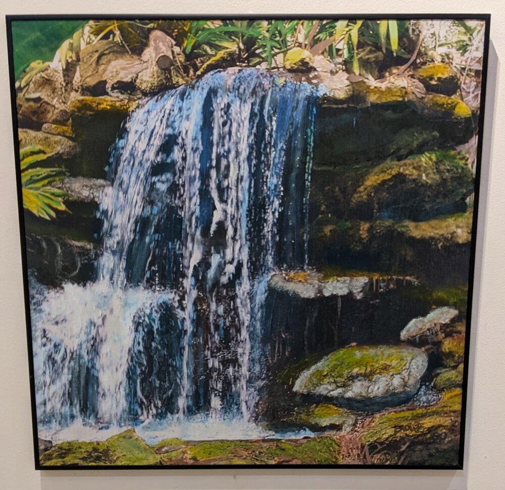 Selby Gardens